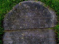 William Potts